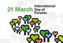 21 marca - Międzynarodowy Dzień Lasów