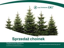 SPRZEDAŻ CHOINEK W 2024 ROKU