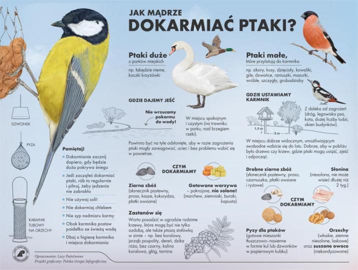 Infografika&#x20;LP