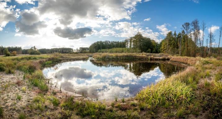 Zbiornik retencyjny w Leśnictwie Sobienie fot. Jan Jakub Smarczewski Nadlesnictwo Celestynów