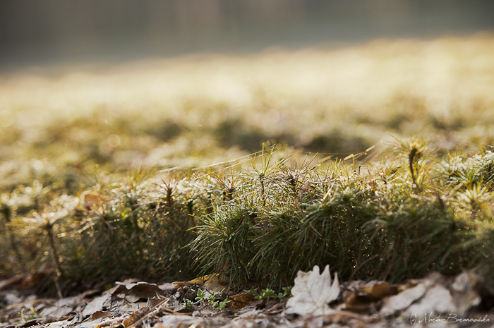 fot. Marta Baranowska