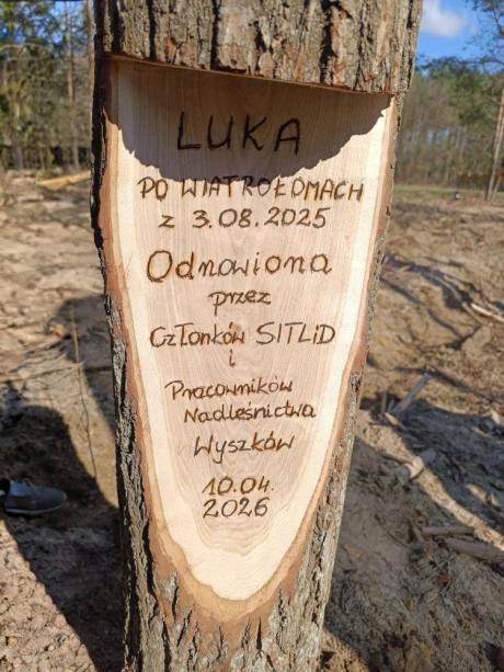 Wspólna akcja SITLiD i Nadleśnictwa Wyszków w Leśnictwie Nowiny