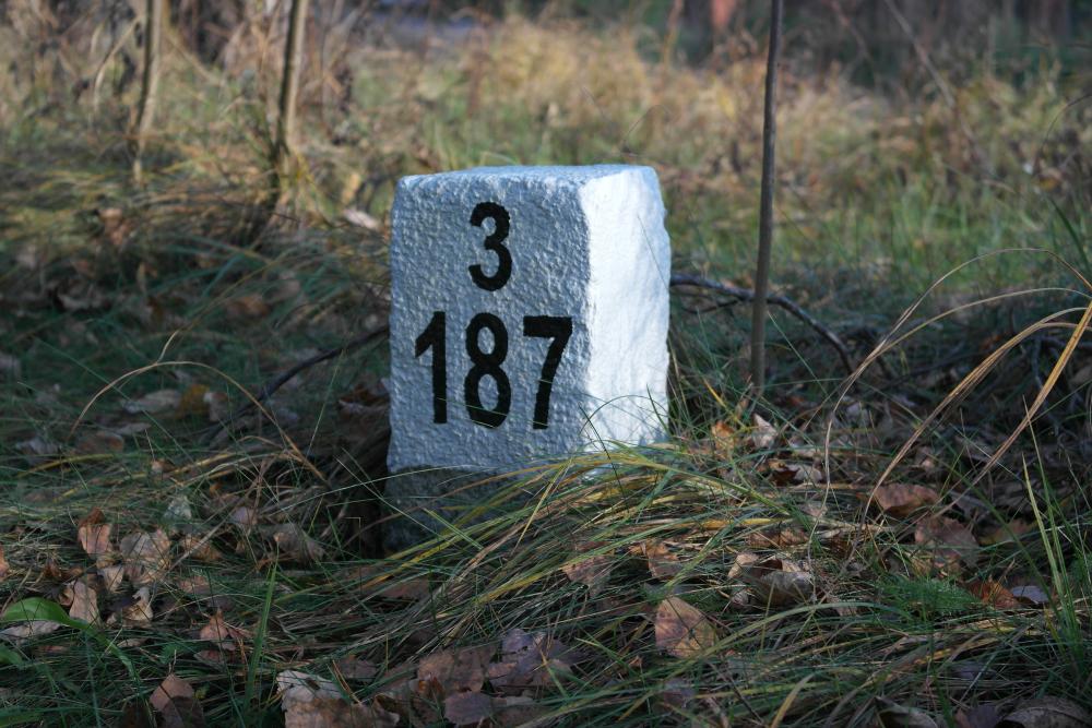 fot. Karolina Gizińska